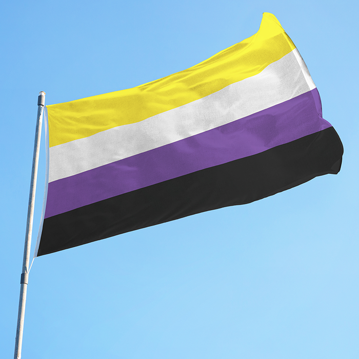 3x5' Nonbinary Pride Flag | LGBTQ+ Flags | Made in USA