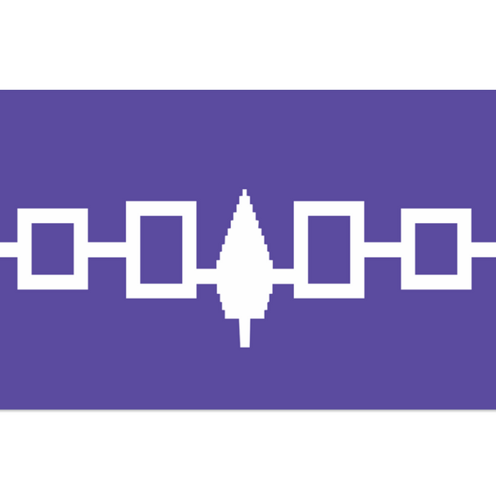 purple decal with the wampum belt and symbol of the 5 nations