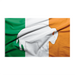 3x5' Irish Buffalo Polyester Flag - Made in USA