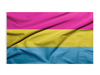 3x5' Pansexual Pride Flag | LGBTQ+ Flags | Made in USA