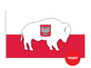 3x5' Buffalo Poland Combo Polyester Flag - Made in USA