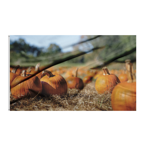 3x5' Pumpkin Patch Polyester Flag - Made in USA