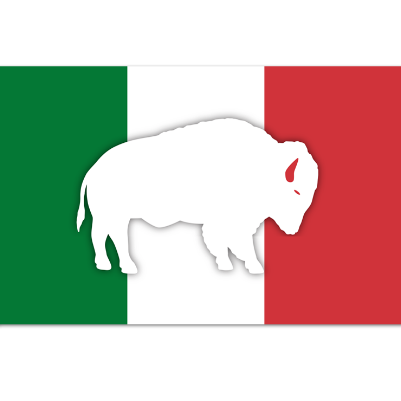 3x5' Buffalo Italy Polyester Flag - Made in USA — Ace Flag & Visual  Promotion