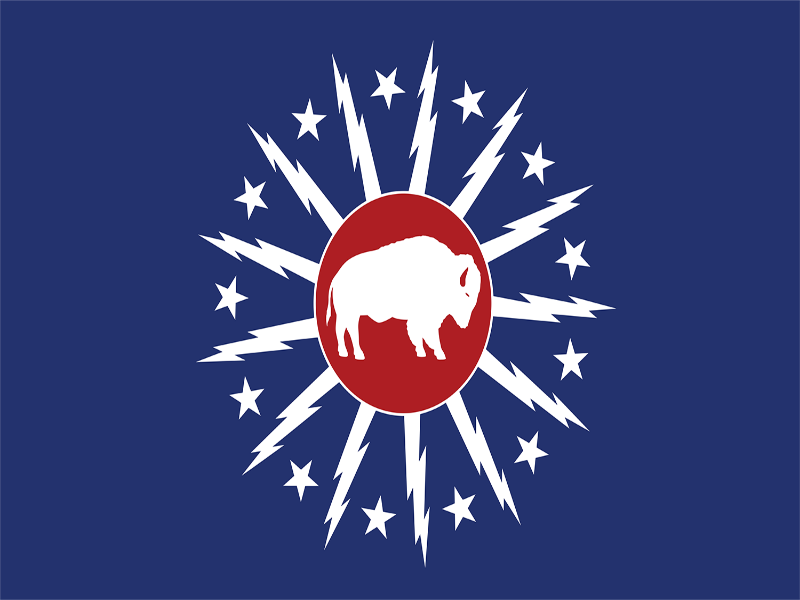 BLUE FLAG WITH THE CITY OF BUFFALO LOGO WITH A WHITE BUFFALO IN THE CENTER
