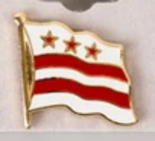 DISTIRICT OF COLUMBIA FLAG LAPEL PIN