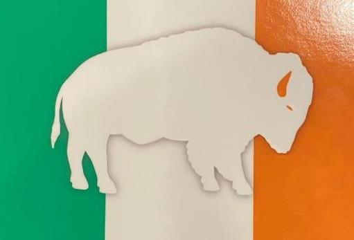 irish flag with a buffalo cut out