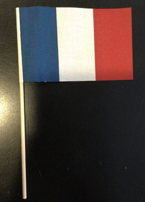 4"x6" France NFNT Stick Flag