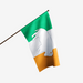 GREEN WHITE AND ORANGE IRELAND FLAG WITH A WHITE STANDING BUFFALO IN THE CENTER