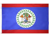 red and blue flag with the country seal in the center