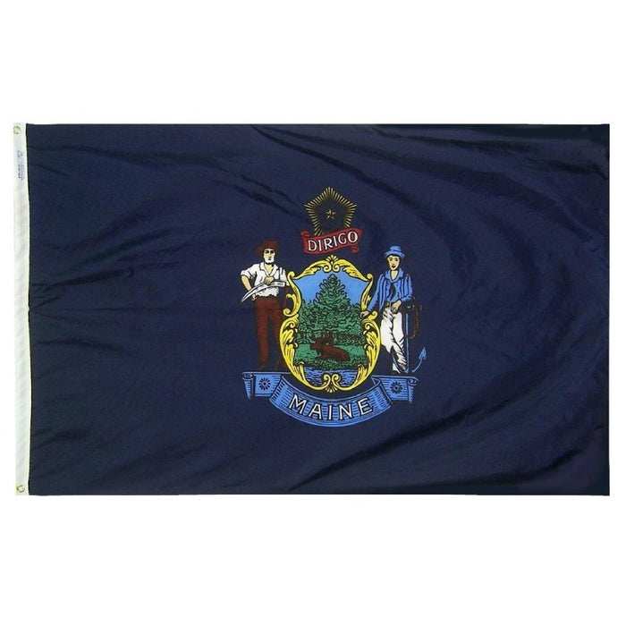 blue flag with emblem and 2 men standing on either side of it