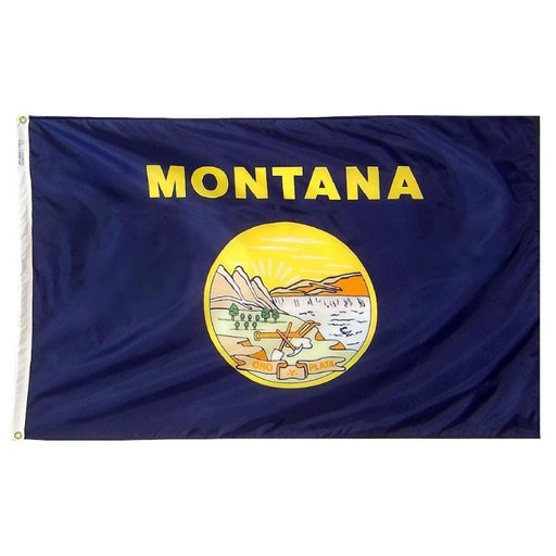 blue flag with a landscape scene in the seal and the word "montana"