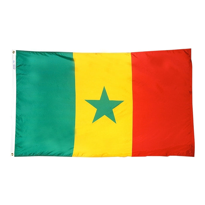 Senegal Nylon Flag
