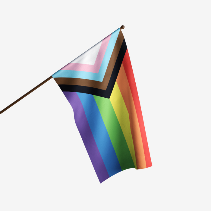 RAINBOW STRIPED FLAG WITH A TRIANGLE FOR THE TRANSGENDER FLAG COLORS ALONG WITH BLACK AND BROWN ON A FLAGPOLE - comes in 2x3', 3x5', 4x6', and 5x8' - POLE NOT INCLUDED