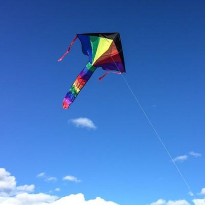 Rainbow Fly-Hi Kite