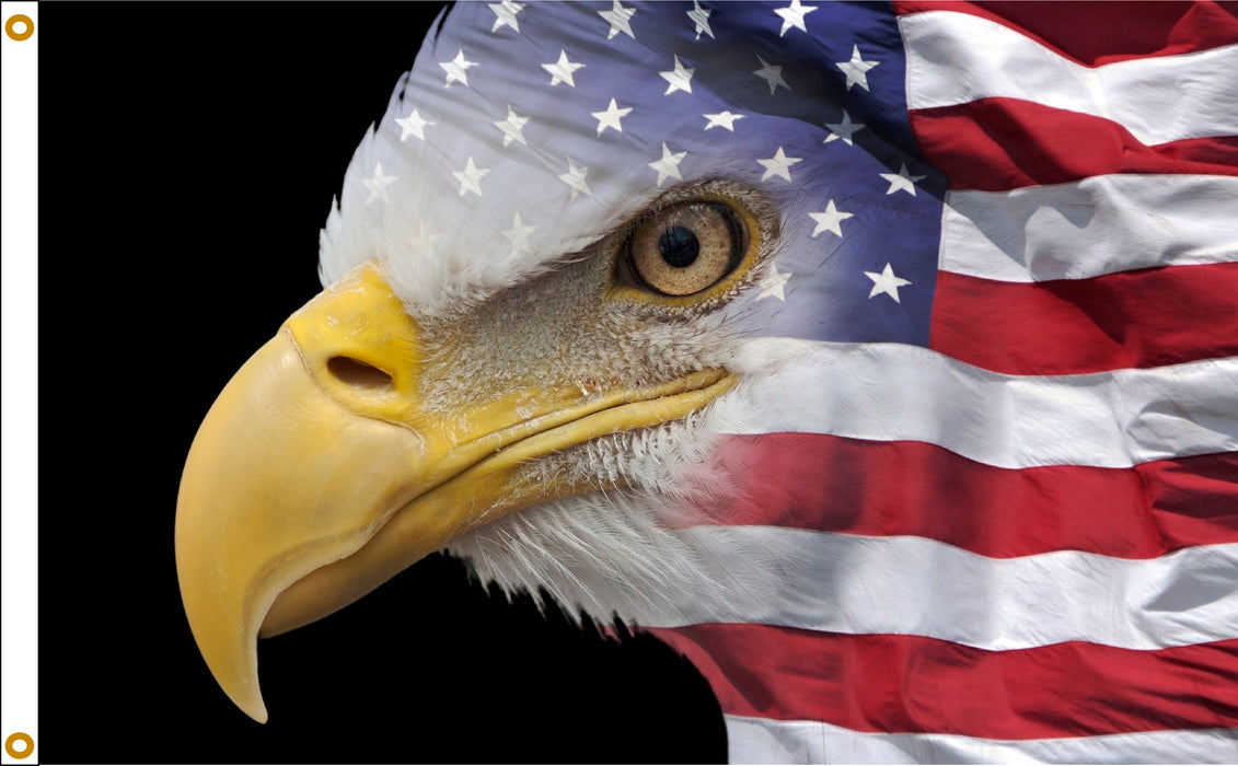 3x5' US Flag Eagle Nylon Flag