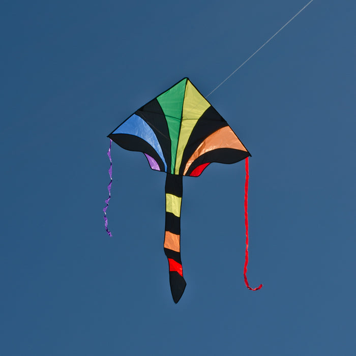 Rainbow Sparkler Fly-Hi Kite in use