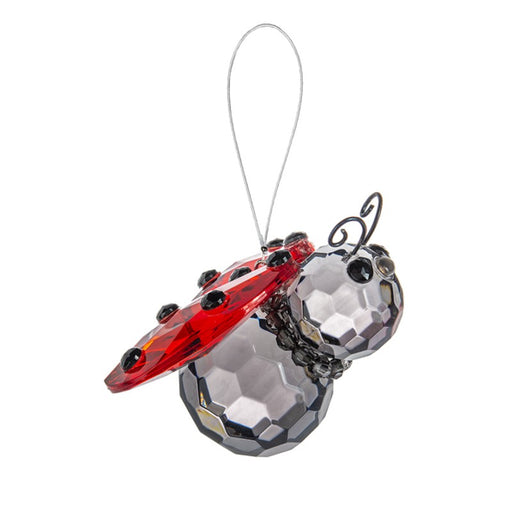 Ladybug Acrylic Hanging Ornament