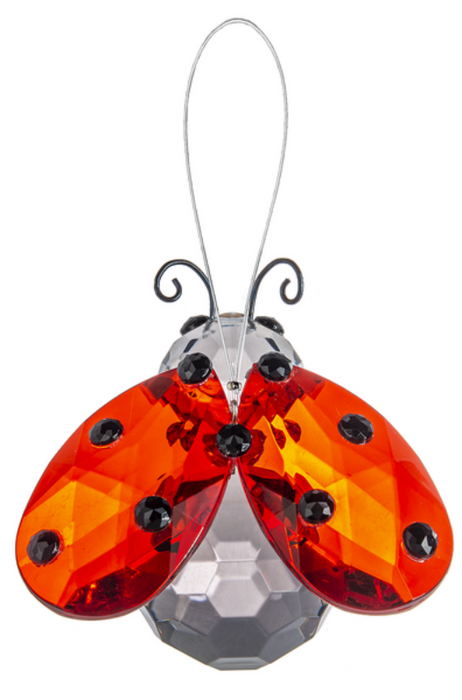 Ladybug Acrylic Hanging Ornament