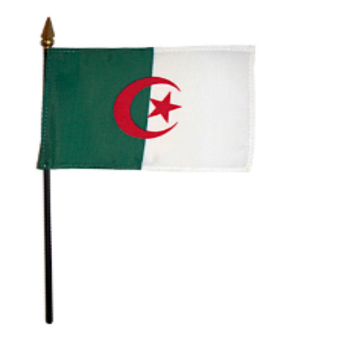 4x6" Algeria Stick Flag