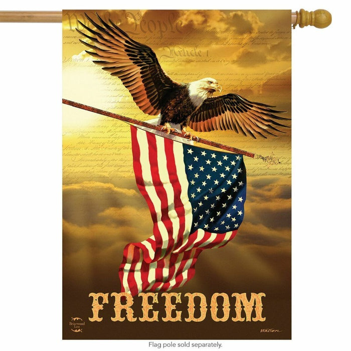 eagle holding up a us flag with the word "freedom" underneath it on a flag