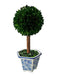 14" Naturally Preserved Boxwood Ceramic Pot Tree Topiary