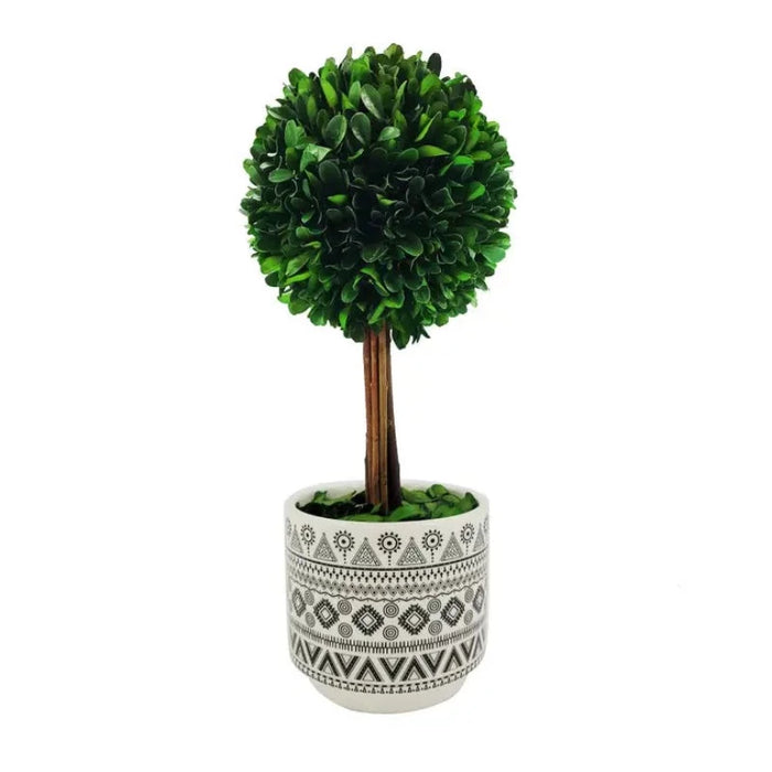 14" Naturally Preserved Boxwood Tree Boho Topiary