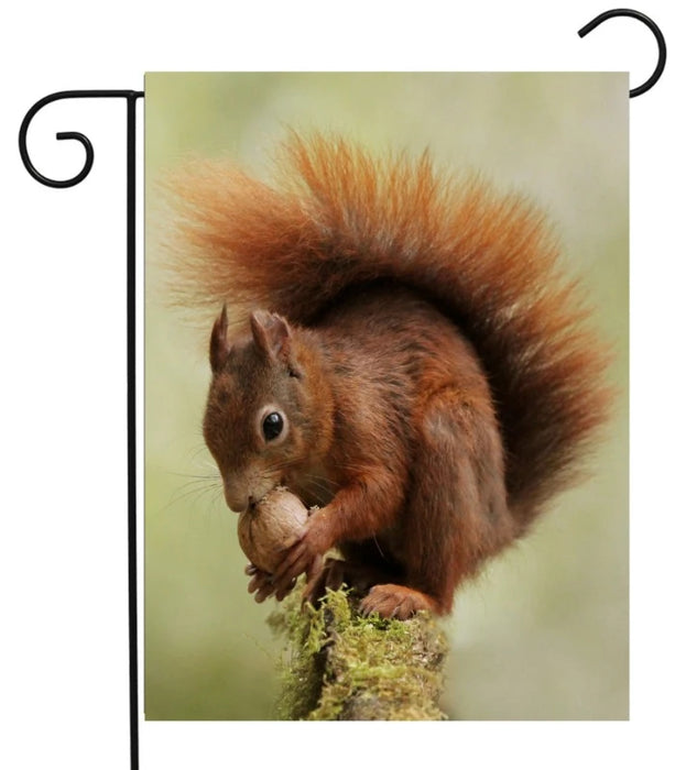Squirrel with Nut Garden Flag
