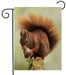 Squirrel with Nut Garden Flag