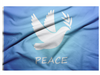 BLUE FLAG WITH WHITE DOVE IN THE CENTER AND THE WORD "PEACE" UNDERNEATH IT