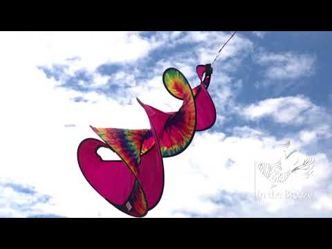 Tie Dye Spin Duet in motion