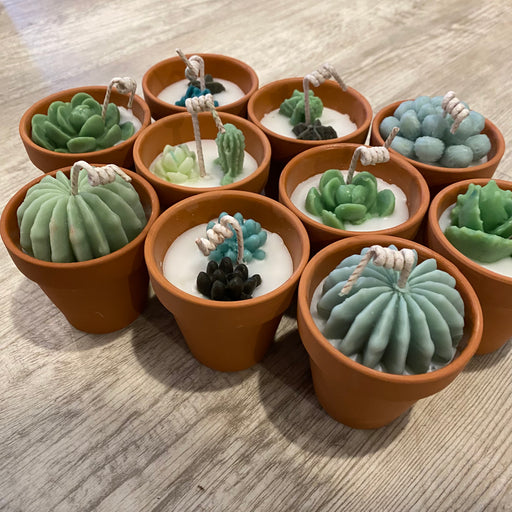 Mini Potted Succulent Candles - Made in the USA