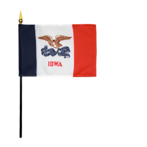 4x6" Iowa Stick Flag