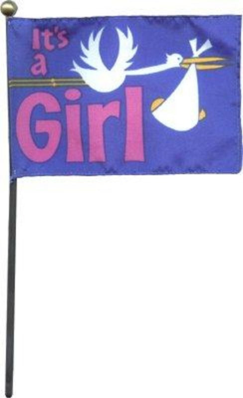 4x6" It's A Girl Stick Flag