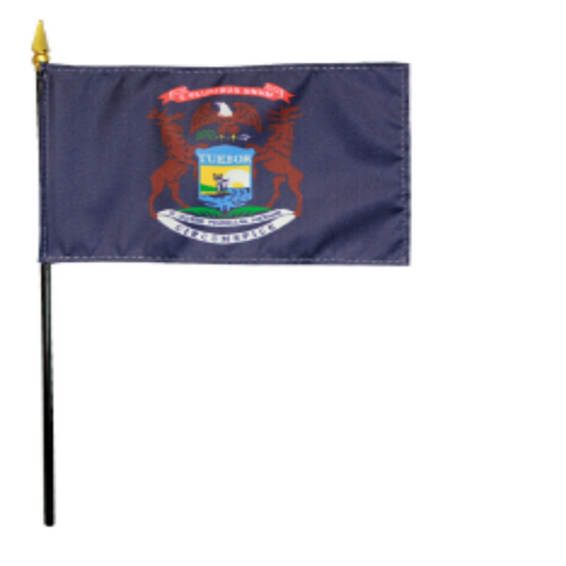 4x6" Michigan Stick Flag