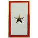 GOLD STAR KILLED IN ACTION LAPEL PIN