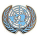 United Nations Lapel Pin