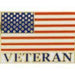 VETERAN US FLAG LAPEL PIN