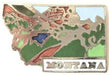 Montana Large Map Lapel Pin