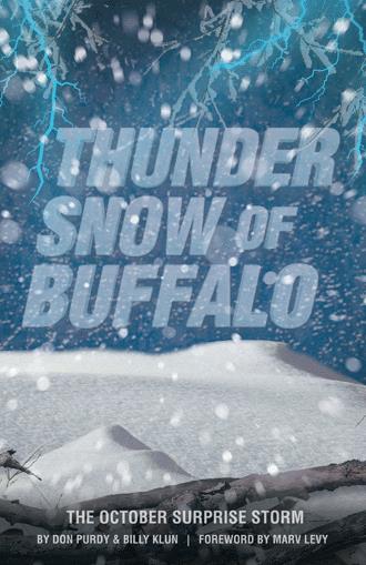 buffalo ny book about snow