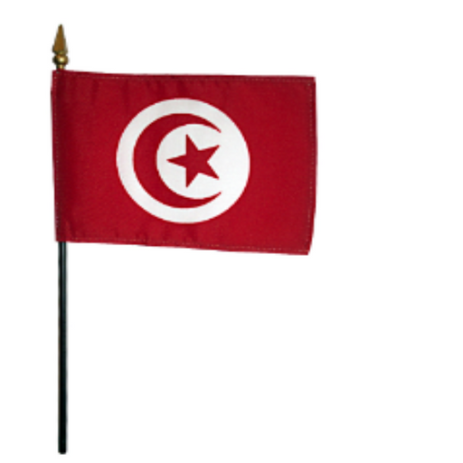 4x6" Tunisia Stick Flag