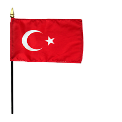 8x12" Turkey Stick Flag